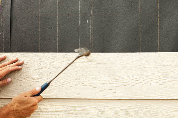 Best Vinyl Siding Installation  in Three Way, TN